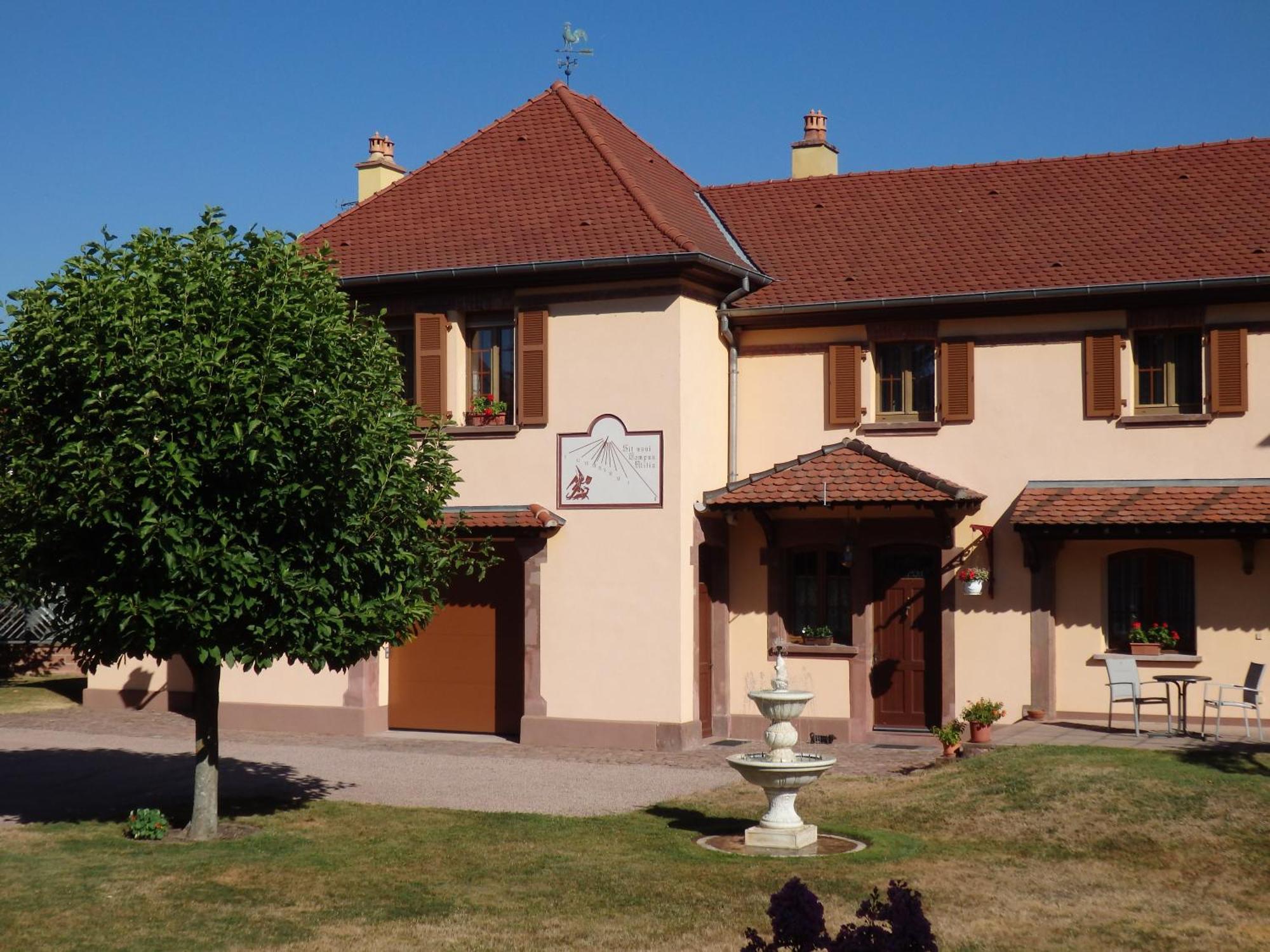 Bed and Breakfast La Demeure Flieg Cernay  Esterno foto